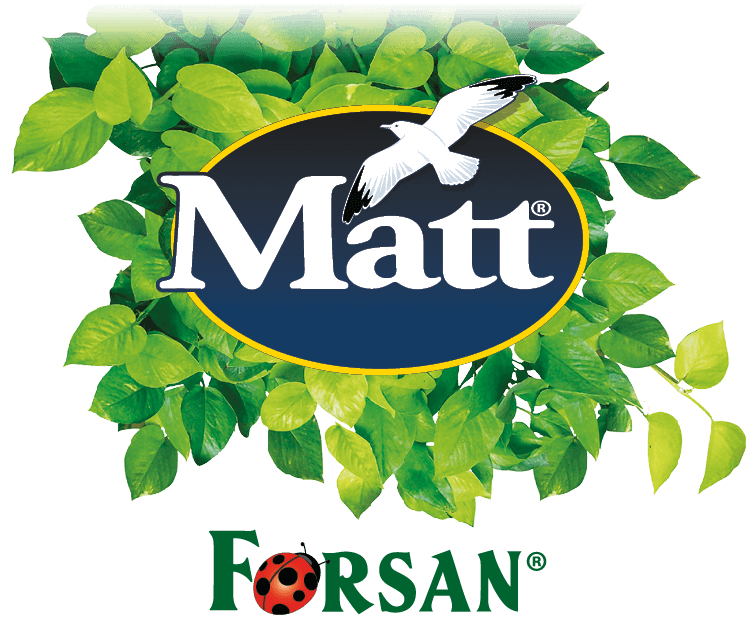 Matt Logo